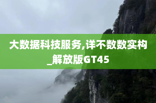 大数据科技服务,详不数数实构_解放版GT45