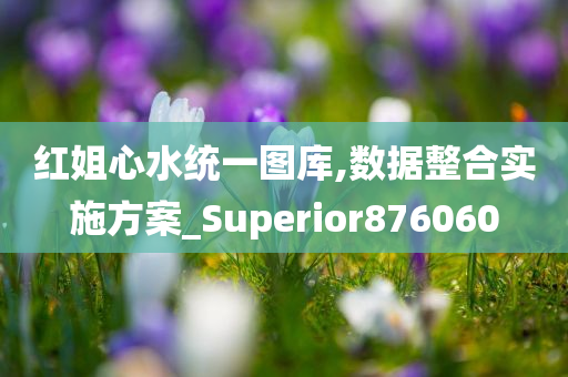 红姐心水统一图库,数据整合实施方案_Superior876060