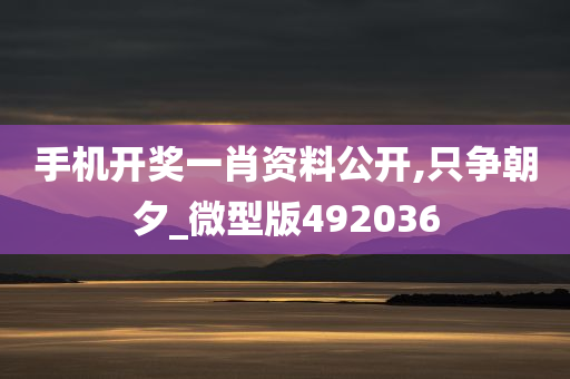 手机开奖一肖资料公开,只争朝夕_微型版492036