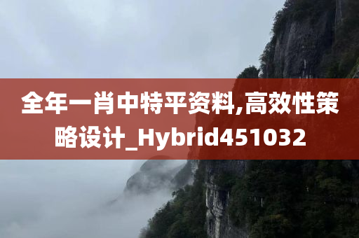 全年一肖中特平资料,高效性策略设计_Hybrid451032