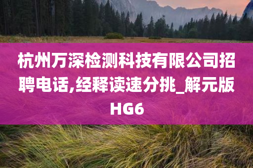 杭州万深检测科技有限公司招聘电话,经释读速分挑_解元版HG6