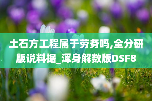 土石方工程属于劳务吗,全分研版说料据_浑身解数版DSF8