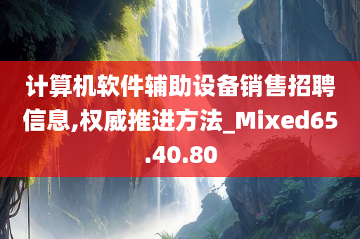 计算机软件辅助设备销售招聘信息,权威推进方法_Mixed65.40.80