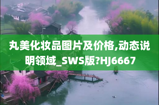 丸美化妆品图片及价格,动态说明领域_SWS版?HJ6667