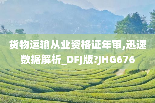 货物运输从业资格证年审,迅速数据解析_DFJ版?JHG676