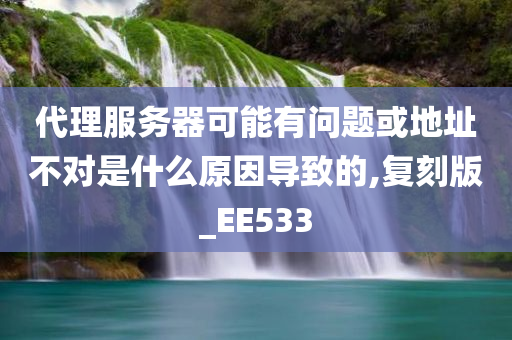 代理服务器可能有问题或地址不对是什么原因导致的,复刻版_EE533