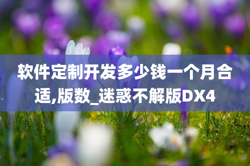 软件定制开发多少钱一个月合适,版数_迷惑不解版DX4