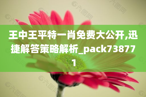 王中王平特一肖免费大公开,迅捷解答策略解析_pack738771