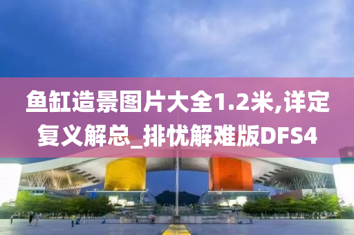 鱼缸造景图片大全1.2米,详定复义解总_排忧解难版DFS4