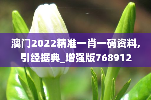 澳门2022精准一肖一码资料,引经据典_增强版768912