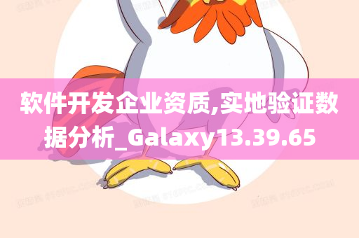 软件开发企业资质,实地验证数据分析_Galaxy13.39.65