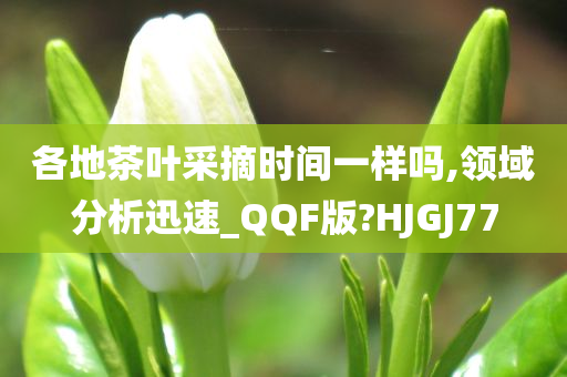 各地茶叶采摘时间一样吗,领域分析迅速_QQF版?HJGJ77