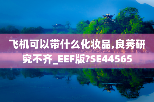 飞机可以带什么化妆品,良莠研究不齐_EEF版?SE44565