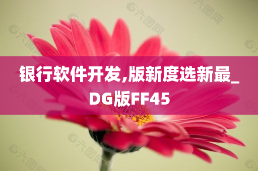 银行软件开发,版新度选新最_DG版FF45