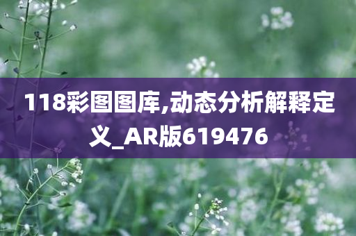 118彩图图库,动态分析解释定义_AR版619476