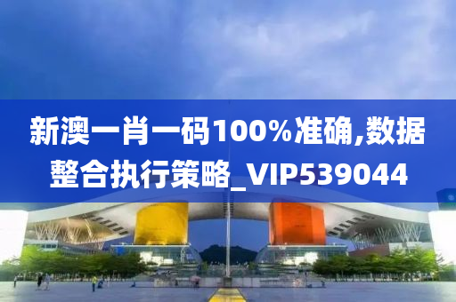 新澳一肖一码100%准确,数据整合执行策略_VIP539044