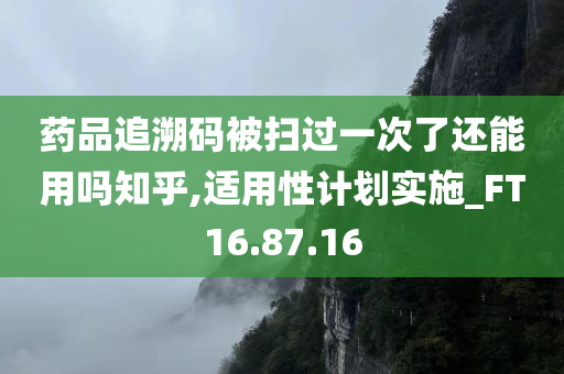 药品追溯码被扫过一次了还能用吗知乎,适用性计划实施_FT16.87.16