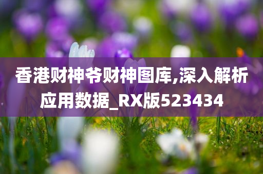 香港财神爷财神图库,深入解析应用数据_RX版523434