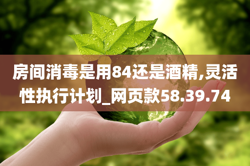 房间消毒是用84还是酒精,灵活性执行计划_网页款58.39.74