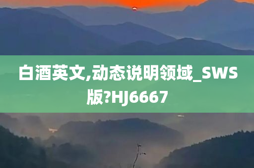 白酒英文,动态说明领域_SWS版?HJ6667