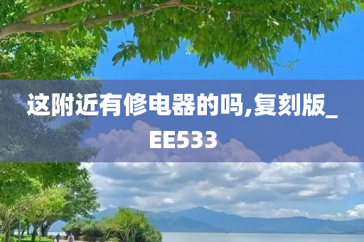 这附近有修电器的吗,复刻版_EE533