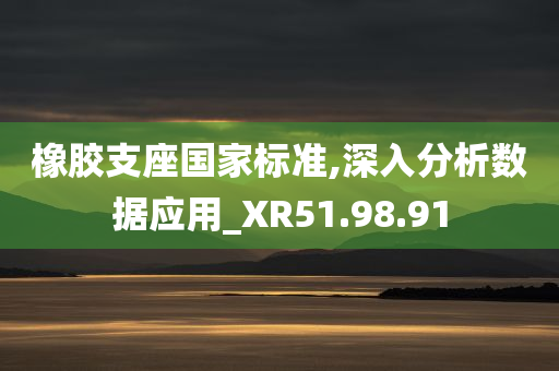 橡胶支座国家标准,深入分析数据应用_XR51.98.91