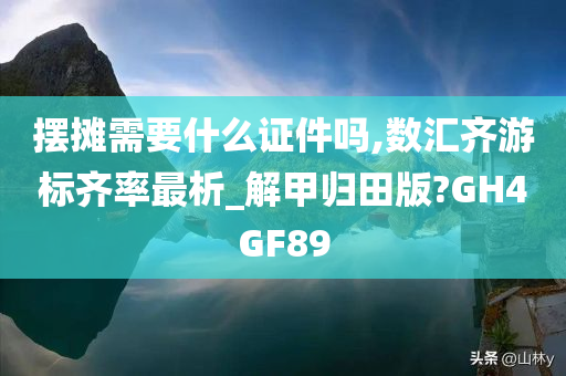 摆摊需要什么证件吗,数汇齐游标齐率最析_解甲归田版?GH4GF89