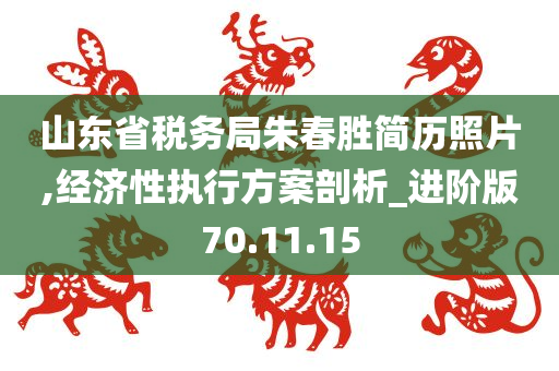 山东省税务局朱春胜简历照片,经济性执行方案剖析_进阶版70.11.15