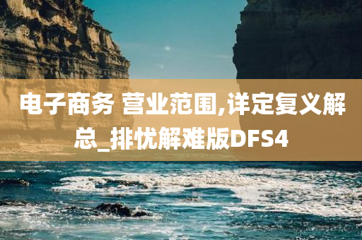 电子商务 营业范围,详定复义解总_排忧解难版DFS4