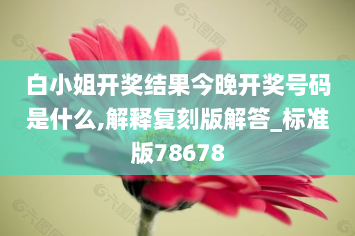 白小姐开奖结果今晚开奖号码是什么,解释复刻版解答_标准版78678