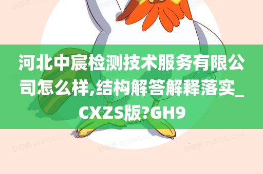 河北中宸检测技术服务有限公司怎么样,结构解答解释落实_CXZS版?GH9