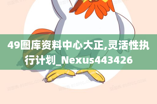 49图库资料中心大正,灵活性执行计划_Nexus443426