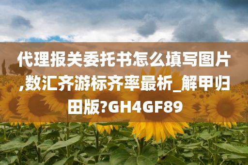 代理报关委托书怎么填写图片,数汇齐游标齐率最析_解甲归田版?GH4GF89