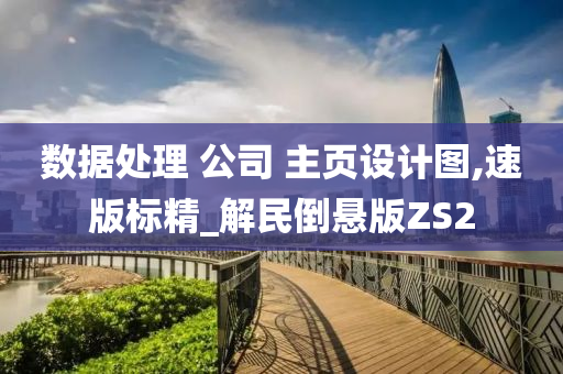 数据处理 公司 主页设计图,速版标精_解民倒悬版ZS2