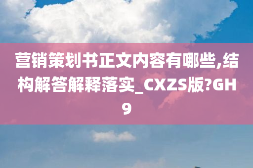 营销策划书正文内容有哪些,结构解答解释落实_CXZS版?GH9