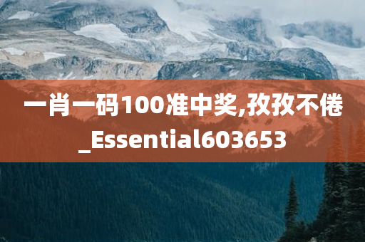 一肖一码100准中奖,孜孜不倦_Essential603653