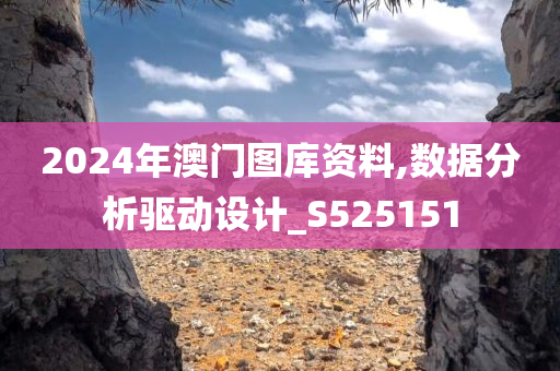 2024年澳门图库资料,数据分析驱动设计_S525151