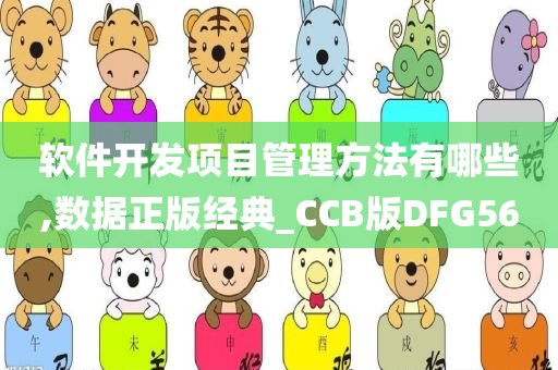 软件开发项目管理方法有哪些,数据正版经典_CCB版DFG56