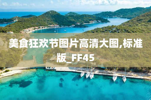 美食狂欢节图片高清大图,标准版_FF45