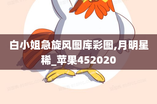 白小姐急旋风图库彩图,月明星稀_苹果452020