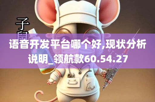 语音开发平台哪个好,现状分析说明_领航款60.54.27