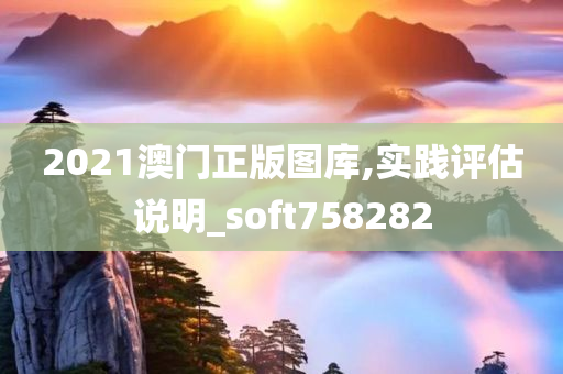 2021澳门正版图库,实践评估说明_soft758282