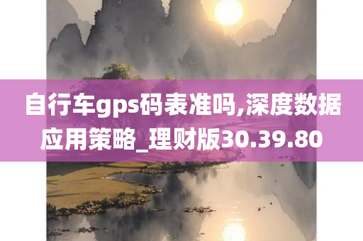 自行车gps码表准吗,深度数据应用策略_理财版30.39.80