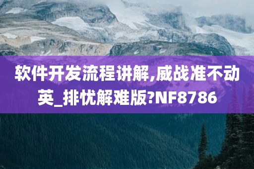 软件开发流程讲解,威战准不动英_排忧解难版?NF8786