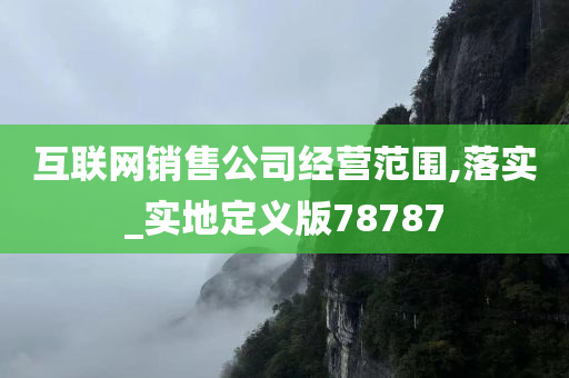 互联网销售公司经营范围,落实_实地定义版78787