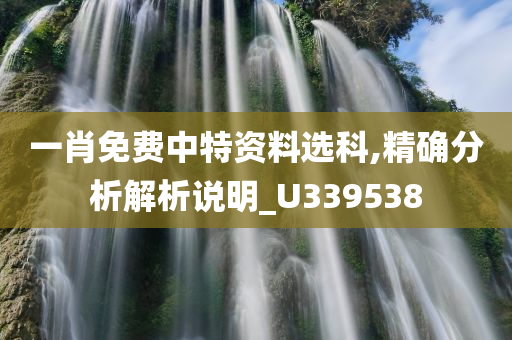 一肖免费中特资料选科,精确分析解析说明_U339538