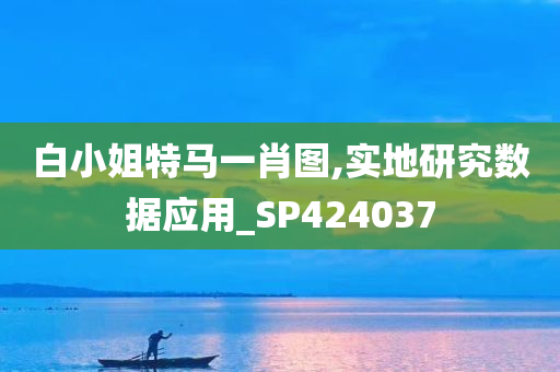 白小姐特马一肖图,实地研究数据应用_SP424037