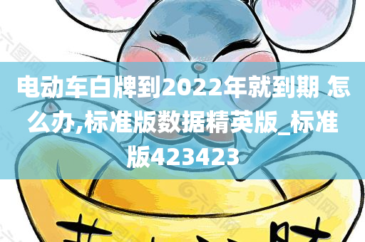 电动车白牌到2022年就到期 怎么办,标准版数据精英版_标准版423423