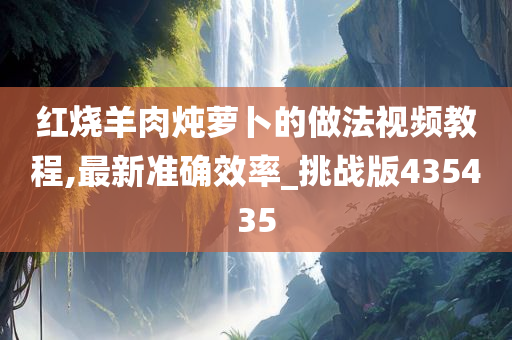 红烧羊肉炖萝卜的做法视频教程,最新准确效率_挑战版435435