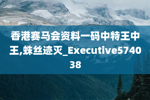 香港赛马会资料一码中特王中王,蛛丝迹灭_Executive574038